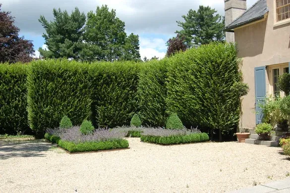 Paul Maue Associates Landscape Architects researched project photo