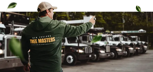 work photo from newenglandtreemasters.com