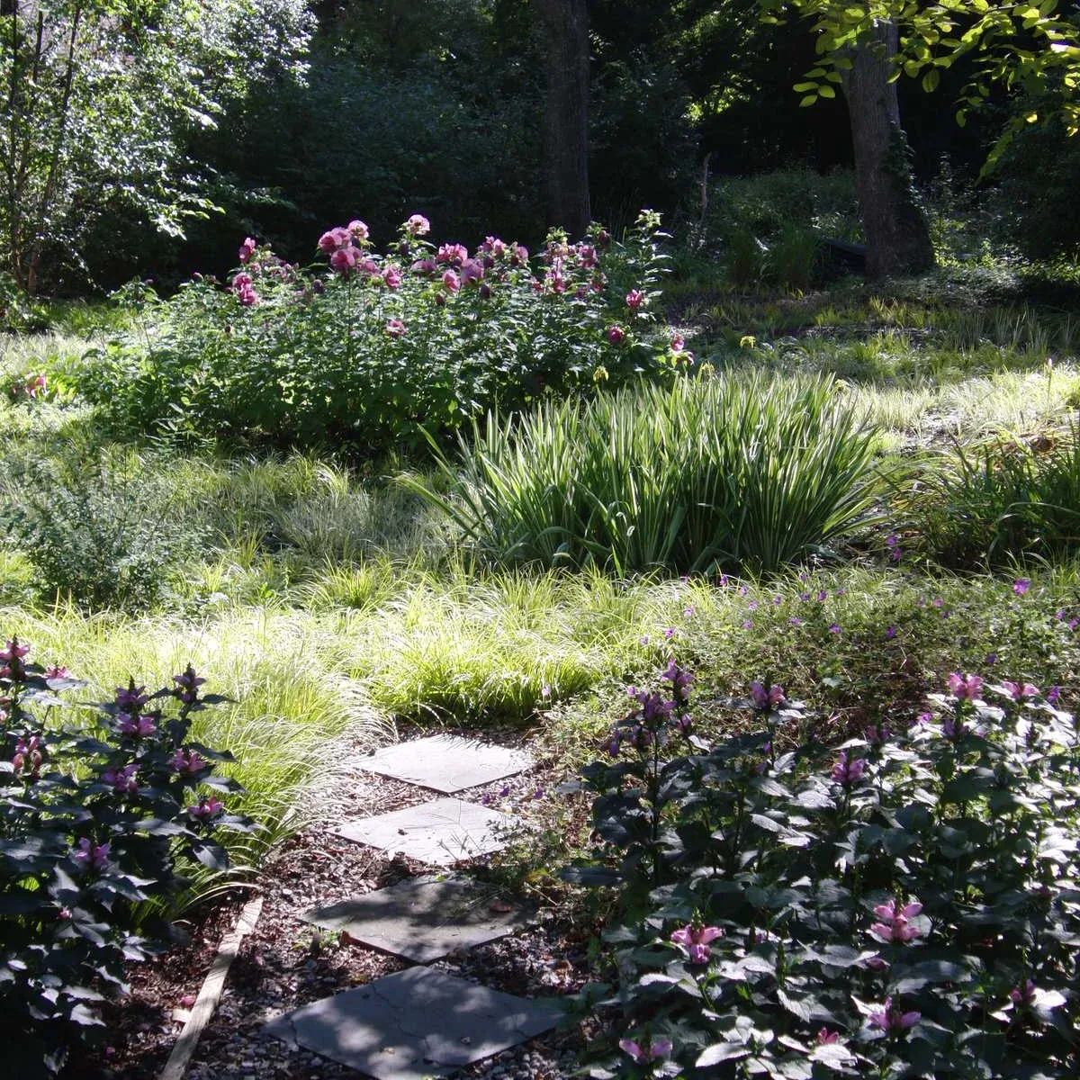 Victoria D. Hibbard Landscape Architect LLC researched project photo