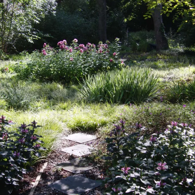 Victoria D. Hibbard Landscape Architect LLC researched project photo