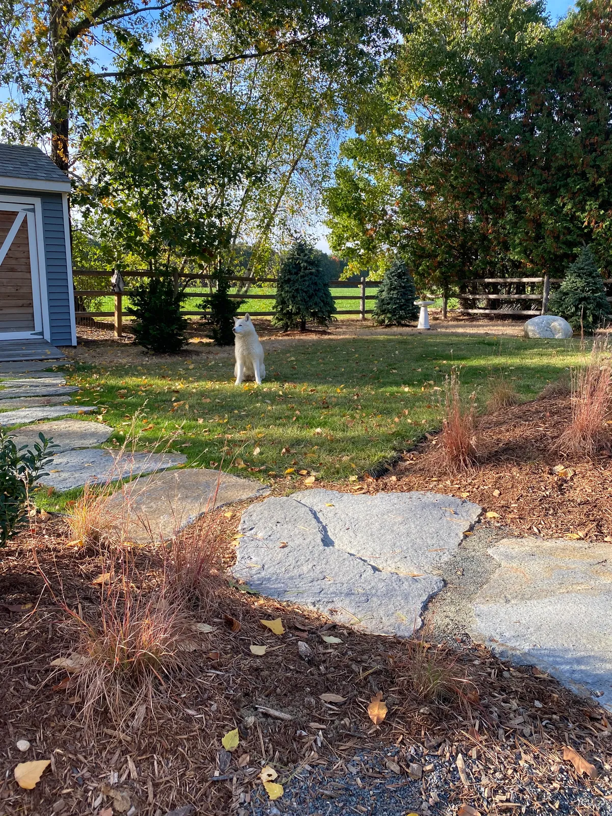work photo from Google listing