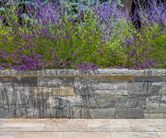 work photo from sesuitlandscapes.com