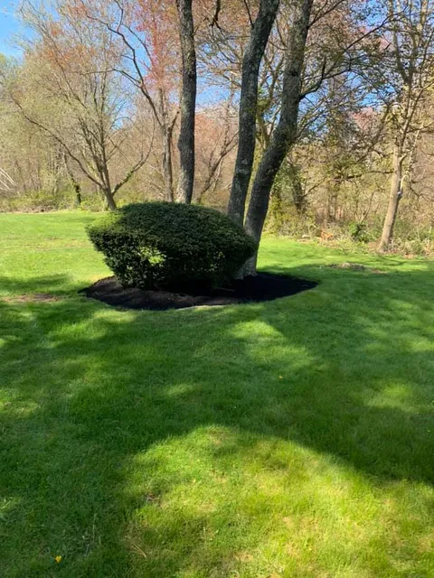 Jose Peña Landscaping