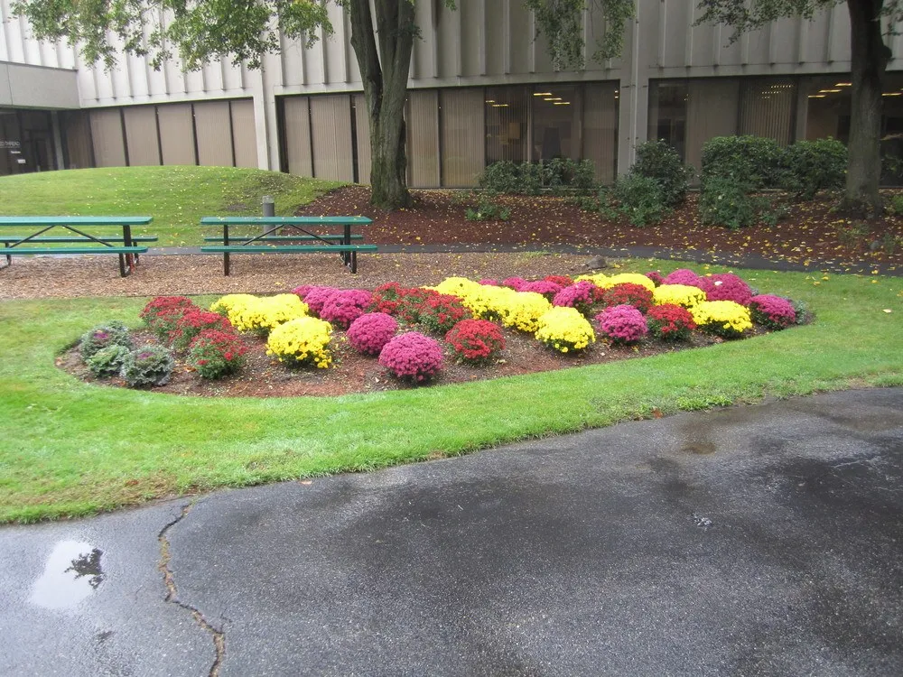 work photo from mcleodlandscaping.com