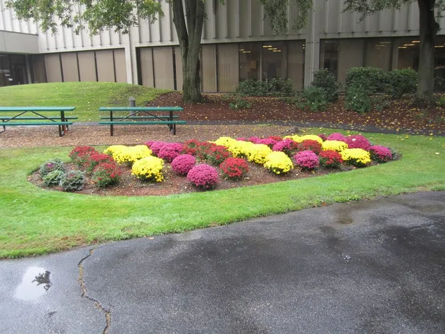 work photo from mcleodlandscaping.com
