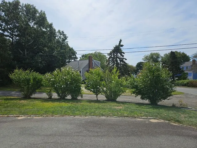 Shrub Trimming