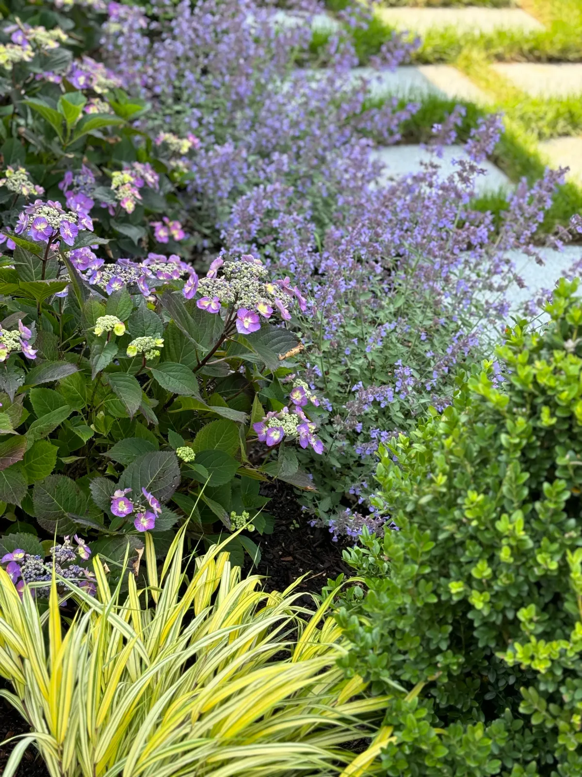 Flowering perennials soften a granite walkway with grass treads.