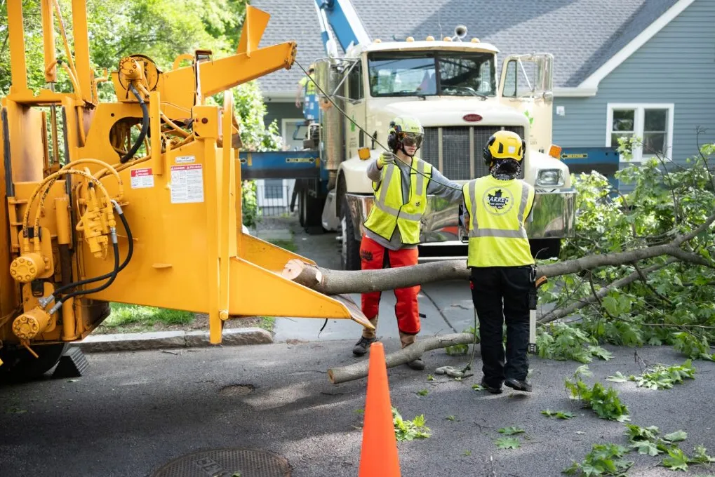 Barrett Tree Service East