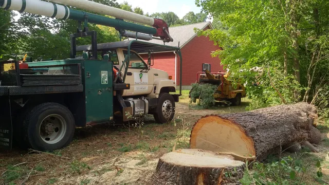 Dostal Tree Service. work photo