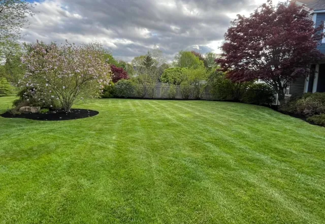 Well-manicured green lawn with flowering trees, bushes, and a cloudy sky in the background.