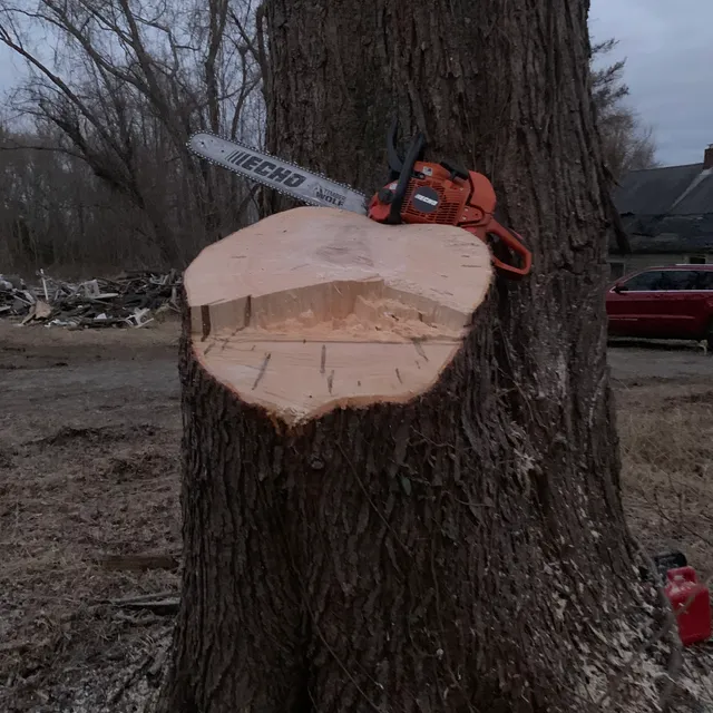 Lamontagne Landscaping and Tree Services LLC work photo