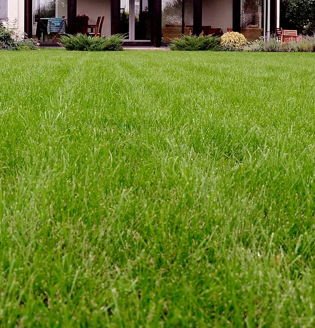 Grasshopper Yard Grooming researched project photo