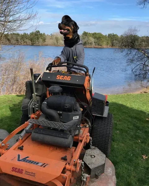 work photo from aceslandscaping.com