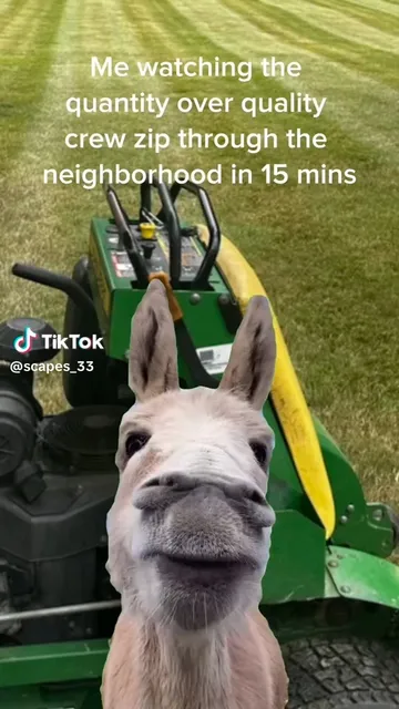 Count on Global Green to do quality work!

Credit: @/scapes_33 on TikTok

#lawncare #lawn #lawncarecommunity #lawncarecompany #smallbusiness #smallbusinessowner #landscaping #lanscapingcompany #landscapingcommunity #lawncarememes #landscapingmemes #mower #mowing #yard #yardwork