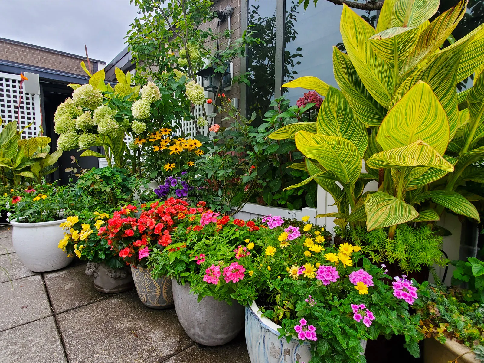 POTTED UP researched project photo