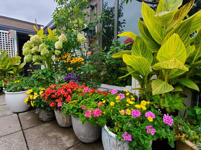 POTTED UP researched project photo