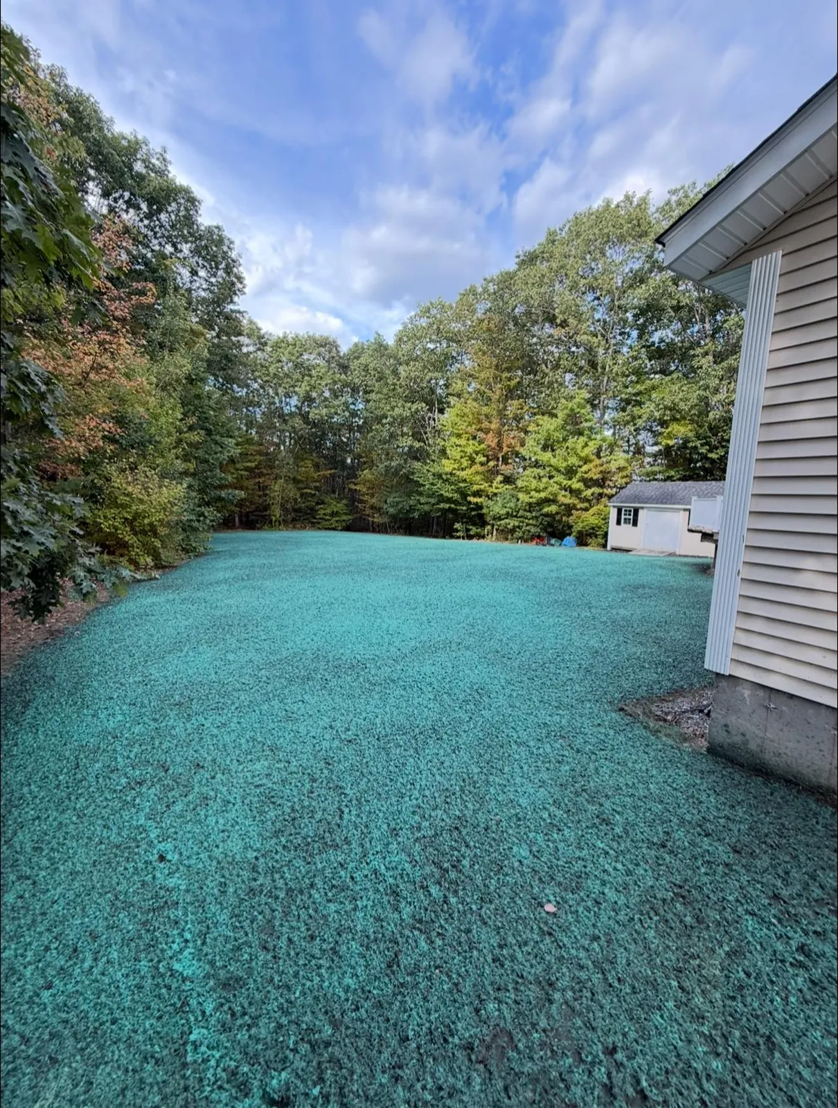 work photo from zhastingslandscape.com