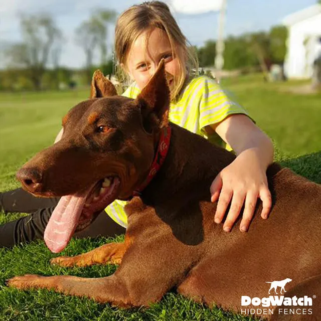 work photo from dogwatchsomaine.com