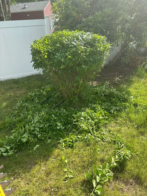 MOWTOWN LANDSCAPING AND JUNK REMOVAL researched project photo