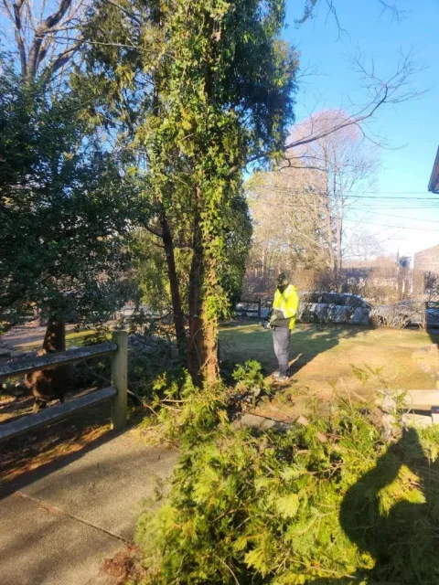 Warrior Waste Removal LLC researched project photo