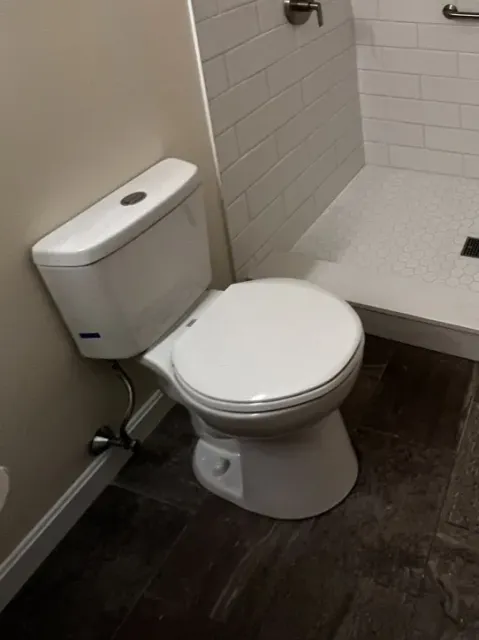 large image