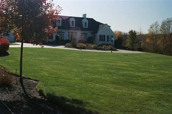 work photo from arbor-turf.com