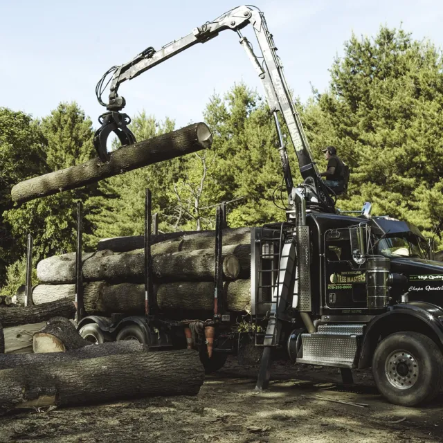 work photo from newenglandtreemasters.com