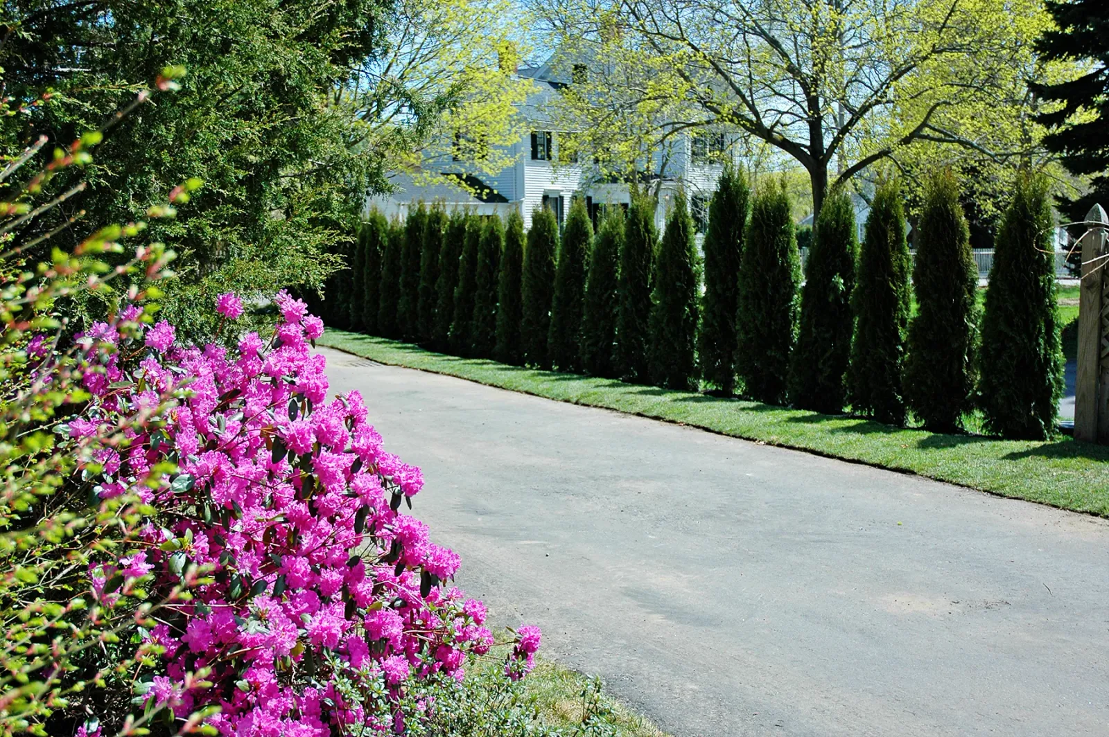 work photo from northern-oak-landscape.squarespace.com