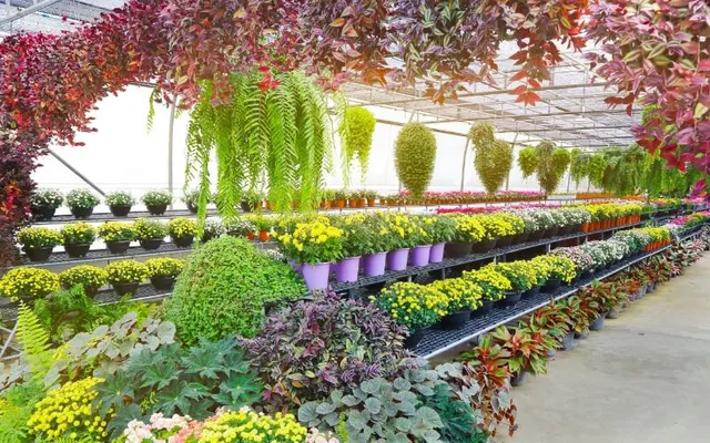 Greenhouse in Kent County, RI
