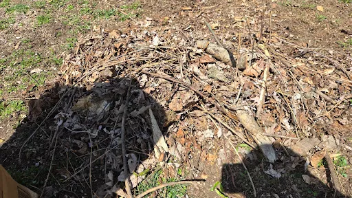 Review photo by Mike Franco