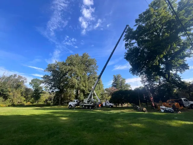 A crane lifting a large tree in a park with multiple trucks and workers nearby, surrounded by green grass and trees under a blue sky with some clouds.