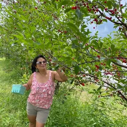 Fe picking cherries outdoors