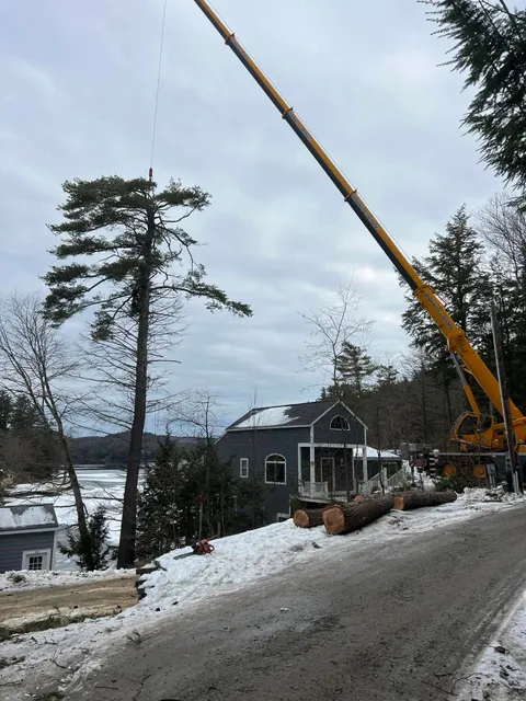 work photo from abairtreeservicenh.com