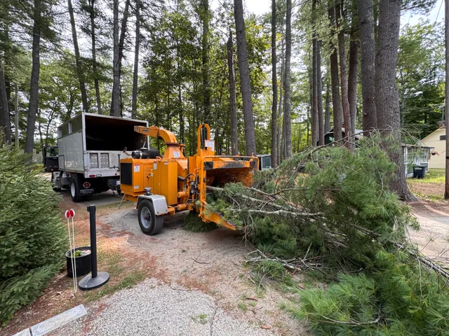 Colonial Tree and Landscaping work photo