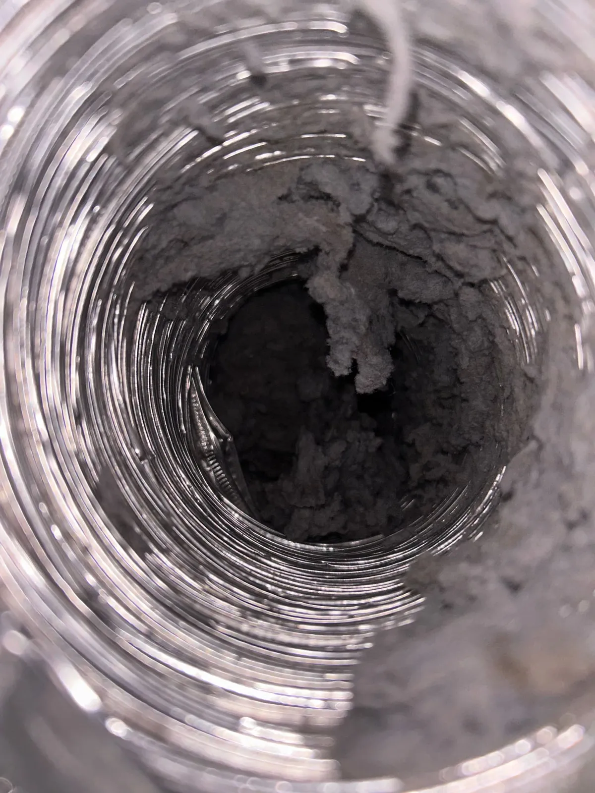 Dense lint buildup inside a flexible dryer duct, seen looking along the length of the run.