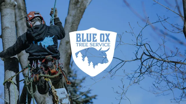 Website-banner-1.jpg