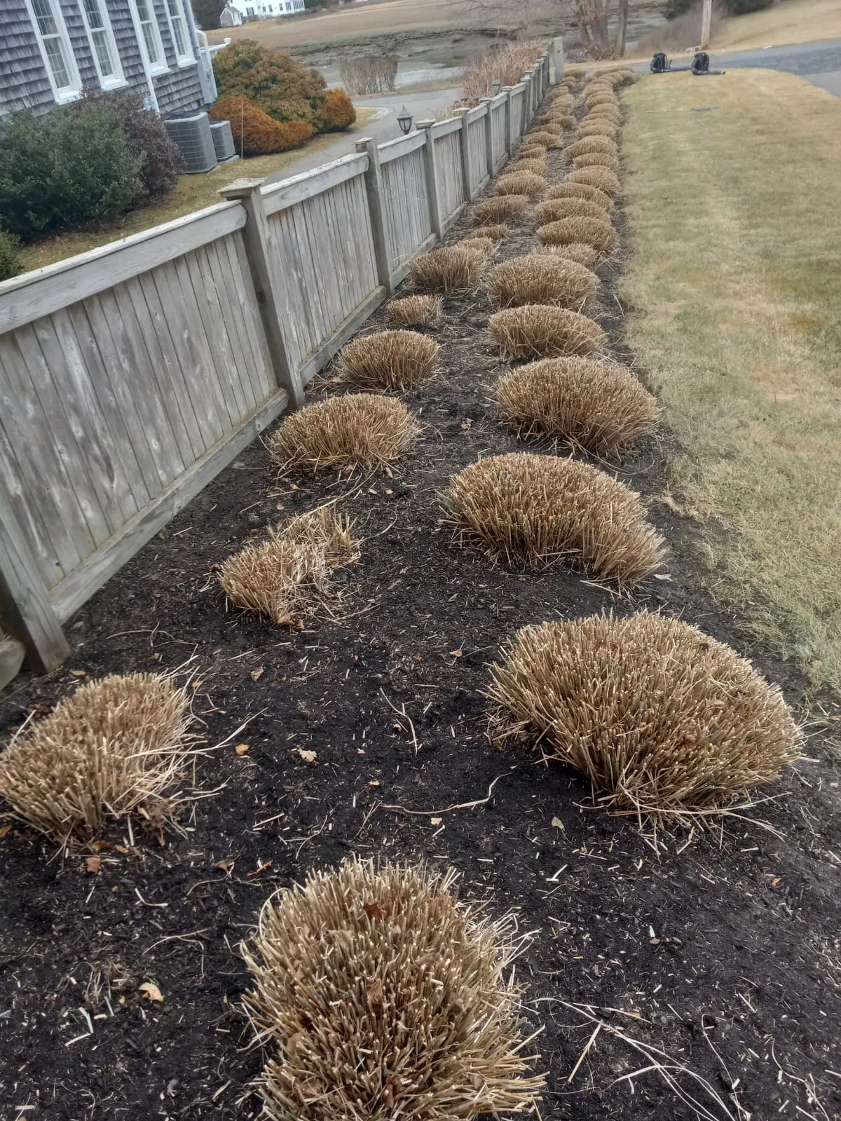 DSJ Landscaping and Hardscaping