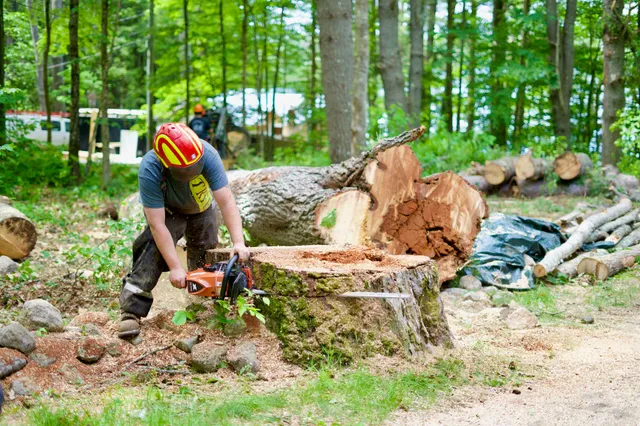 work photo from gardnertreeme.com