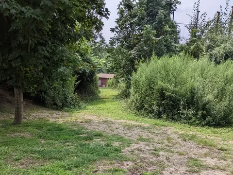after cutting brush along a pathway
