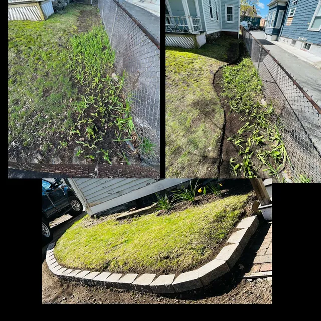 Proserve Removal Inc. researched project photo