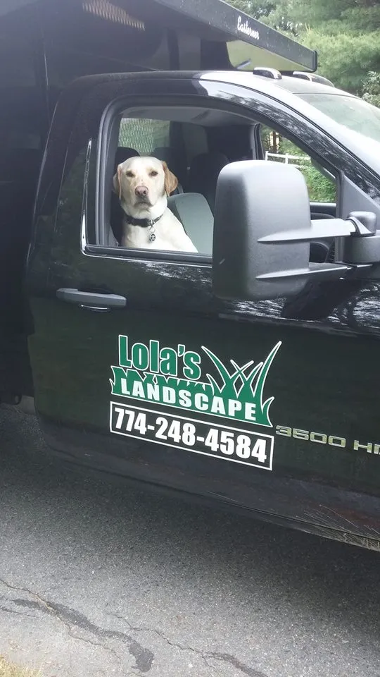 adam lolas dog