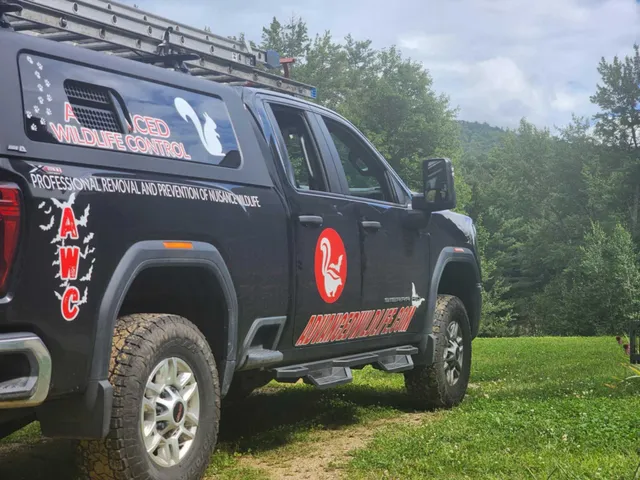 work photo from advancedwildlife.com