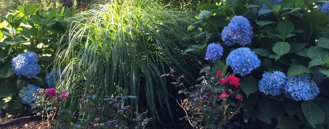 Coastal Roots Landscape & Design work photo
