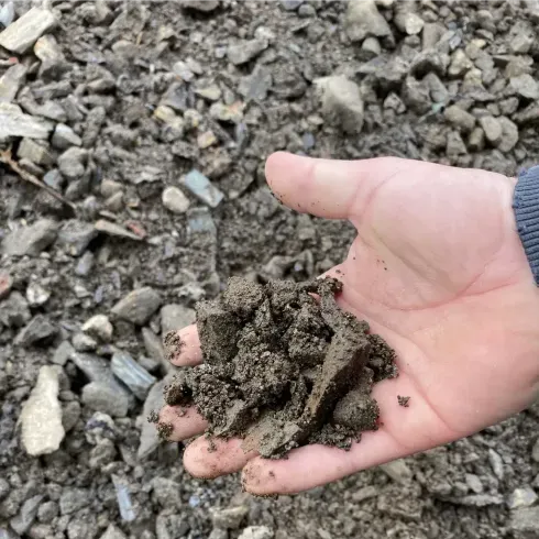 A person is holding a pile of dirt in their hand.