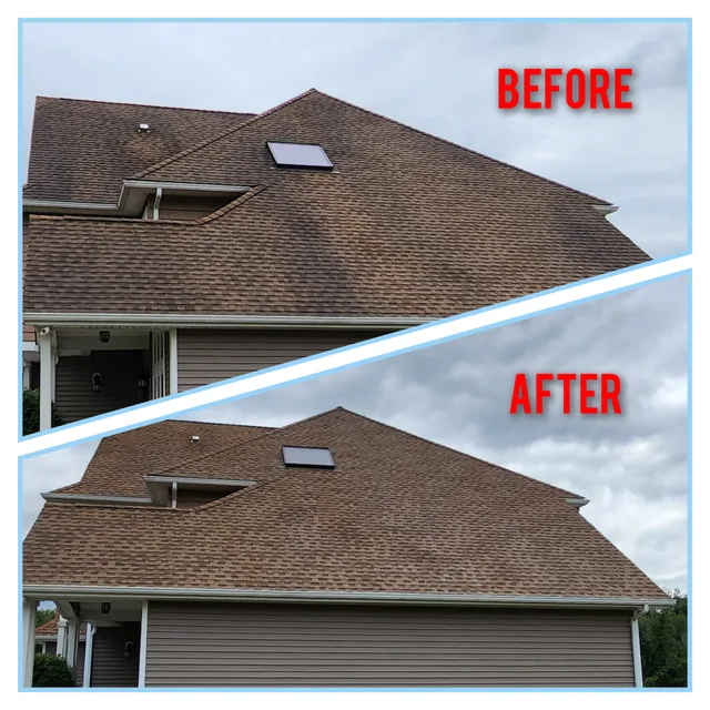 Blue Line House Washing work photo