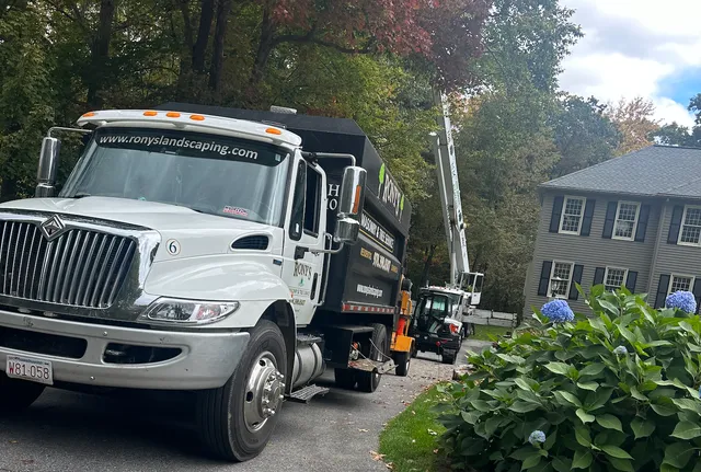 work photo from ronyslandscapinginc.com