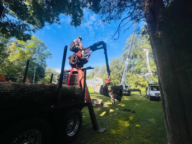 A person operating a hydraulic lift to cut or remove a large tree branch in a residential yard with multiple trees, a house, and a white truck with a bucket lift in the background.