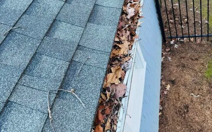 Olmos Landscaping Gutter Cleaning