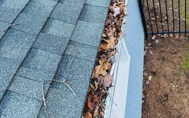 Olmos Landscaping Gutter Cleaning
