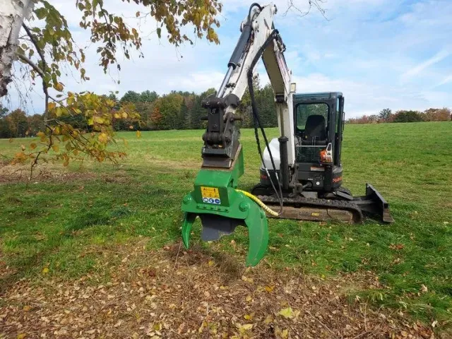 tree services 2